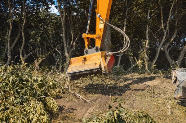 Cost of Brush Removal Service in Davenport