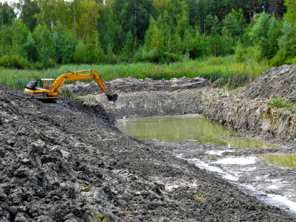 Cost of Lake Lot Clearing in Davenport