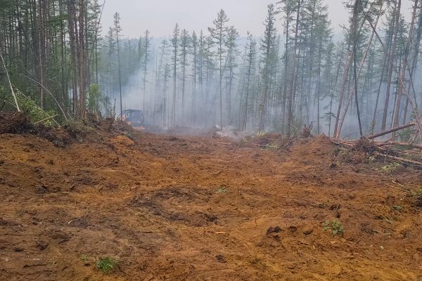 Cost of Hill Clearing in Davenport