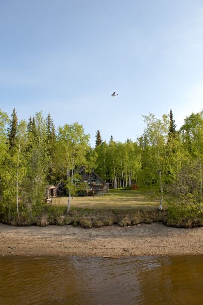 Cost of Waterfront Land Clearing in Davenport